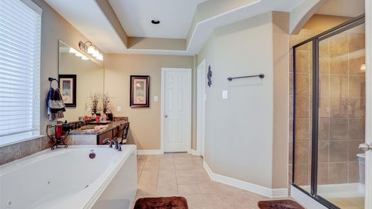 Tomball 2-story, 4-bed 17615 Fritz Falls Court-idx