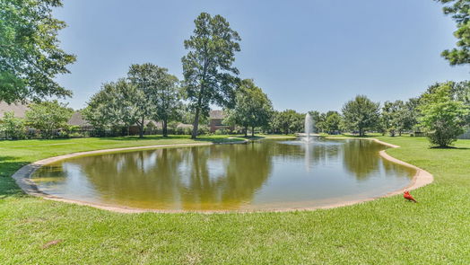 Tomball 1-story, 4-bed 11711 Littlefield Court-idx