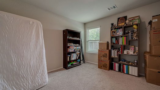 Tomball 1-story, 4-bed 19242 Red Cascade Court-idx