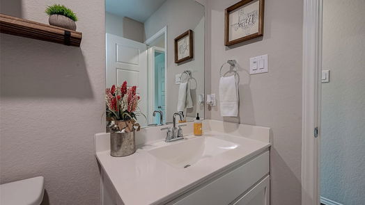Tomball 1-story, 4-bed 19242 Red Cascade Court-idx
