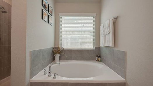 Tomball 1-story, 4-bed 19242 Red Cascade Court-idx