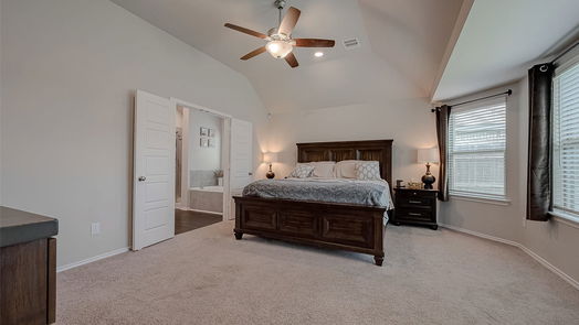 Tomball 1-story, 4-bed 19242 Red Cascade Court-idx