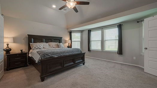 Tomball 1-story, 4-bed 19242 Red Cascade Court-idx