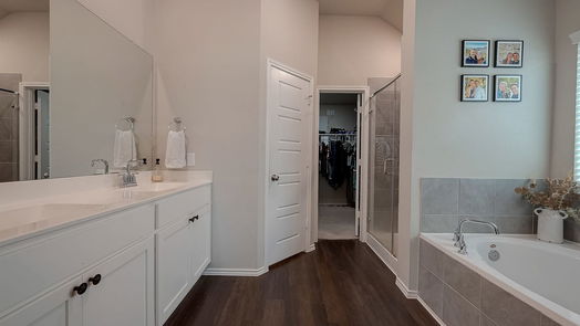 Tomball 1-story, 4-bed 19242 Red Cascade Court-idx