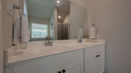 Tomball 1-story, 4-bed 19242 Red Cascade Court-idx