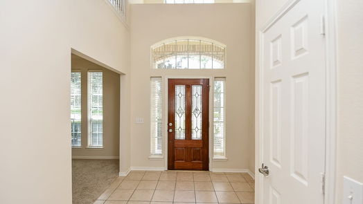 Tomball 2-story, 4-bed 19315 Cougar Peak Drive-idx