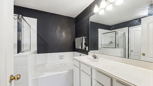 Tomball 1-story, 4-bed 17547 Forest Vine Court-idx
