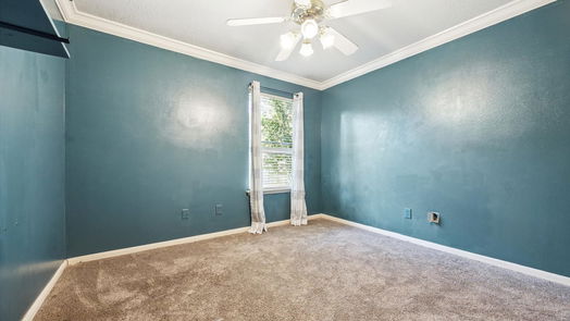 Tomball 1-story, 4-bed 17547 Forest Vine Court-idx