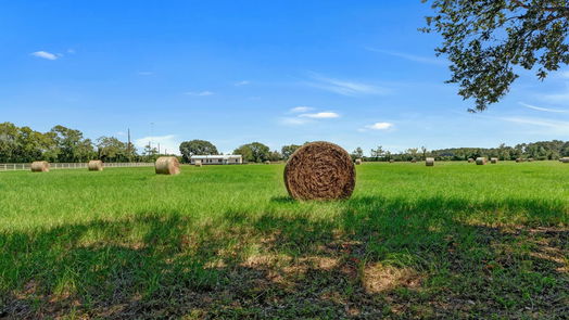 Tomball 2-story, 3-bed 17631 Self Road-idx