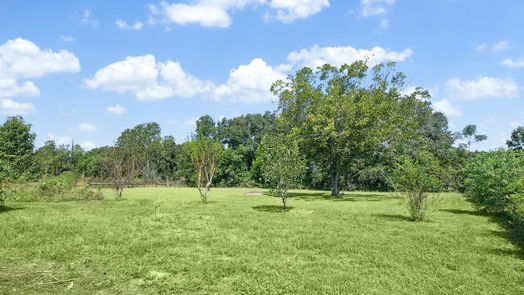 Tomball 1-story, 4-bed 17924 Seidel Cemetary Road-idx