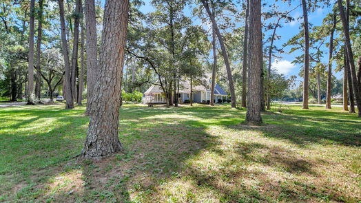 Tomball 1-story, 3-bed 18811 Heron Lane-idx