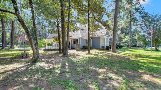 Tomball 1-story, 3-bed 18811 Heron Lane-idx