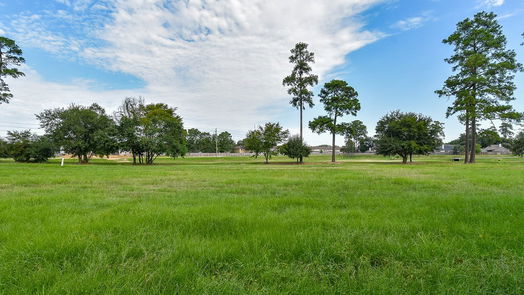 Tomball 2-story, 4-bed 15619 Hermitage Oaks Drive-idx