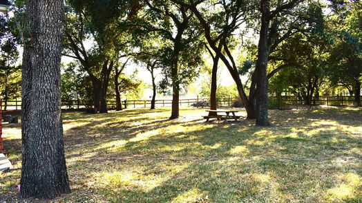 Tomball null-story, 4-bed 21514 Julie Lane-idx