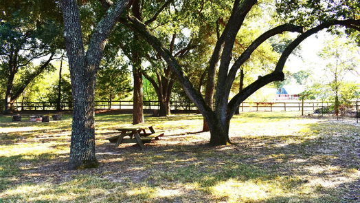 Tomball null-story, 4-bed 21514 Julie Lane-idx