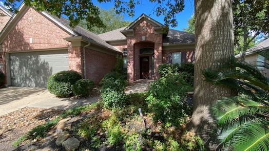 Tomball 1-story, 4-bed 17527 Forest Vine Court-idx