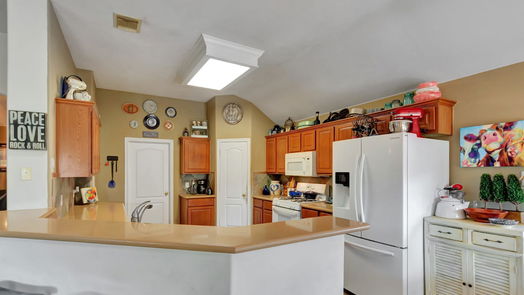 Tomball 1-story, 3-bed 19523 Papago Drive-idx