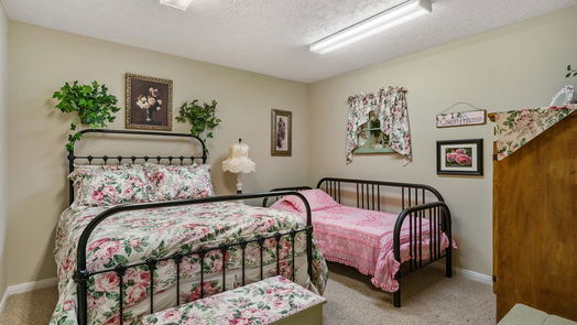 Willis 1-story, 3-bed 13093 & 12615 Browder Traylor Road-idx