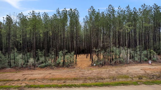 Willis null-story, null-bed 12762 Oak Barrel Road-idx