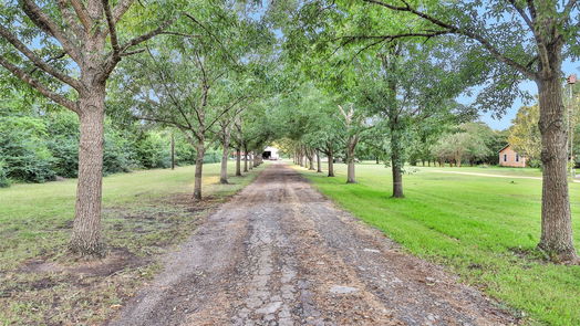 Willis null-story, 3-bed 18135 N Highway 75-idx