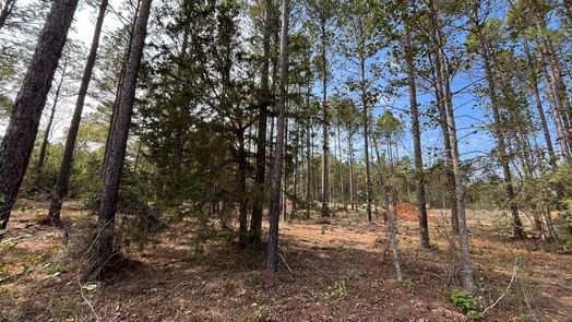 Willis null-story, null-bed 11309 Annie Creek Drive-idx
