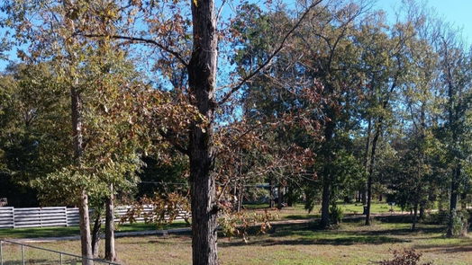 Willis null-story, null-bed 14617 Gibbs Pipeline Road-idx
