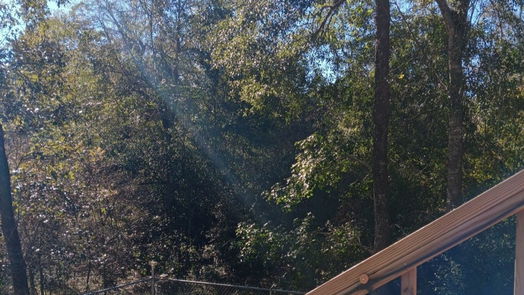 Willis null-story, null-bed 14617 Gibbs Pipeline Road-idx