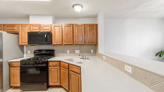 Spring 2-story, 2-bed 1629 Grable Cove Lane-idx