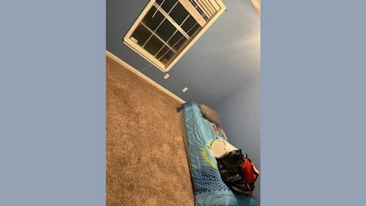 Spring 2-story, 3-bed 9226 Palm Shores Drive-idx