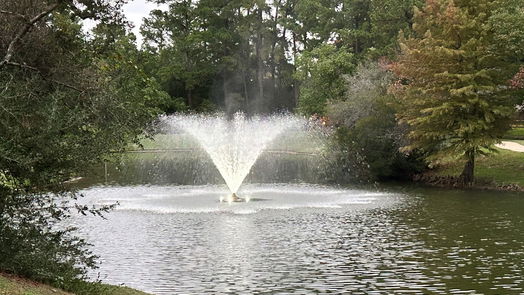 Spring 1-story, 4-bed 1103 Arden Forest Drive-idx