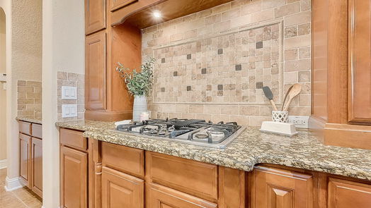 Spring 2-story, 4-bed 18114 Norwood Oaks Drive-idx
