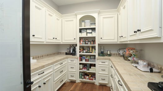 Spring 1-story, 4-bed 17123 Ashley Woods Court-idx