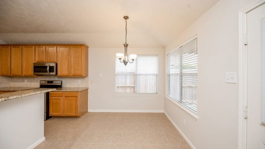 Spring 1-story, 3-bed 20922 Wind Field Lane-idx