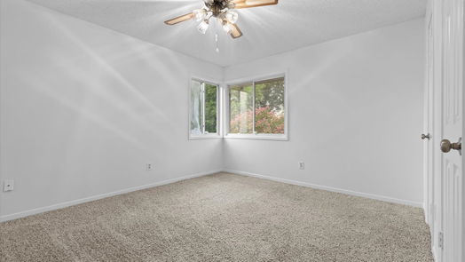 Spring 2-story, 3-bed 18506 Islandbreeze Drive-idx