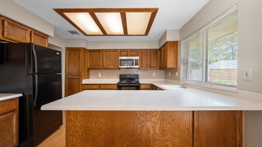 Spring 1-story, 3-bed 9207 Towne Terrace Drive-idx