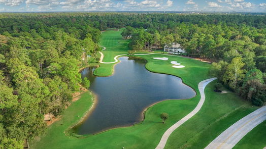 The Woodlands 2-story, 3-bed 22 Fairway Oaks Place-idx