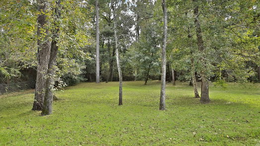 The Woodlands 2-story, 6-bed 66 S Tranquil Path-idx