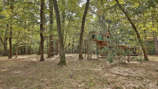 The Woodlands 2-story, 6-bed 66 S Tranquil Path-idx