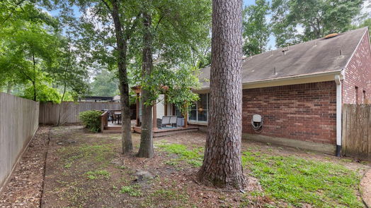 The Woodlands 1-story, 4-bed 6 Crested Cloud Court-idx