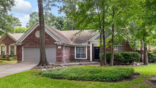 The Woodlands 1-story, 4-bed 6 Crested Cloud Court-idx