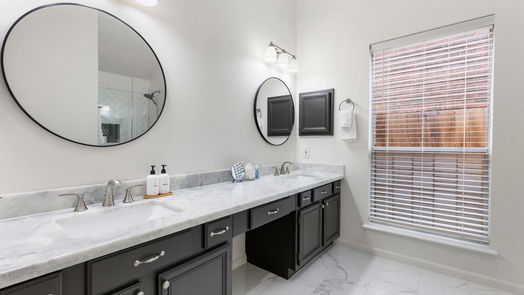 The Woodlands 1-story, 4-bed 6 Crested Cloud Court-idx