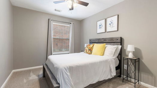 The Woodlands 1-story, 4-bed 6 Crested Cloud Court-idx