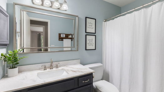 The Woodlands 1-story, 4-bed 6 Crested Cloud Court-idx
