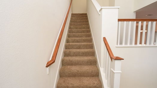 The Woodlands 2-story, 2-bed 52 Scarlet Woods Court-idx