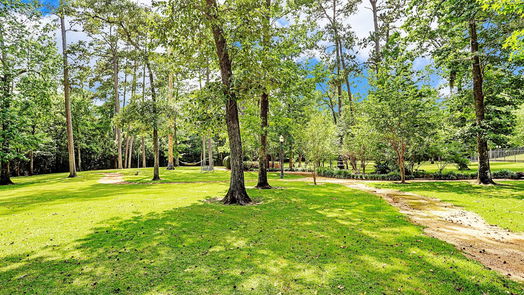 The Woodlands 2-story, 6-bed 126 S Tranquil Path-idx