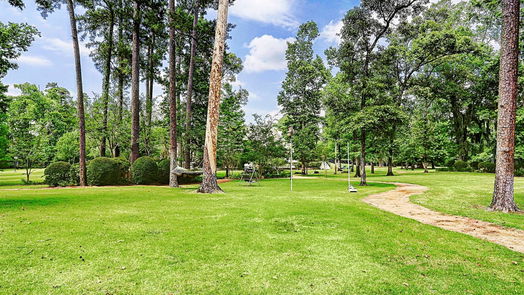 The Woodlands 2-story, 6-bed 126 S Tranquil Path-idx