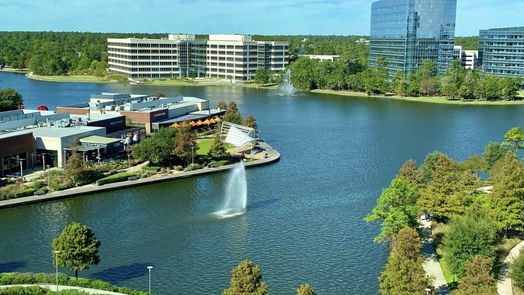 The Woodlands 1-story, 3-bed 69 Wind Whisper Court-idx