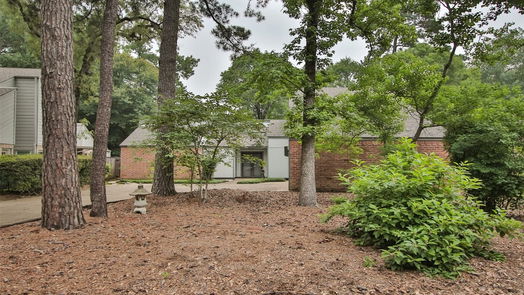 The Woodlands 2-story, 4-bed 10 Rambling Wood Court-idx