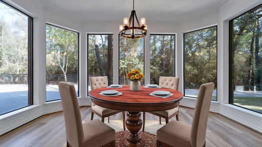 The Woodlands 2-story, 7-bed 10608 Wild Ridge Drive-idx