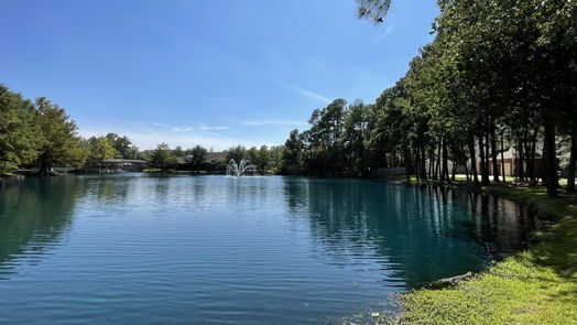 The Woodlands 1-story, 3-bed 154 N Magnolia Pond Place-idx